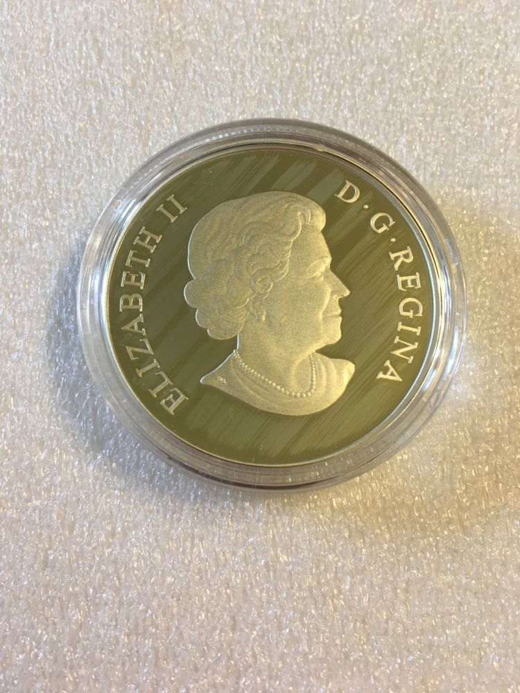 Streaks-Or-Scratches-On-Obverse-Geometry-In-Art:-The-Maple-Leaf-Coin