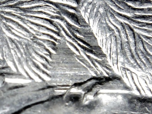 My-First-1990-Nickel-Bare-Belly