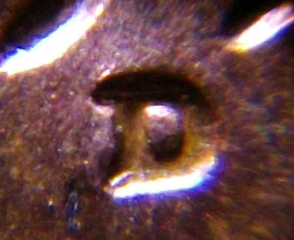 1952-D-1MM-024?