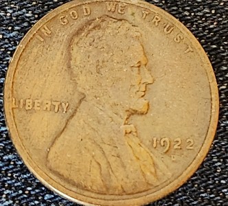 What-Grade-Would-You-Give-This-1922-D-LWC?