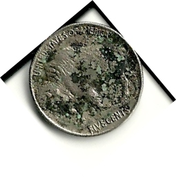 Roll-Searching-2011-Finds-Total-Finds,-Not-Best-Finds