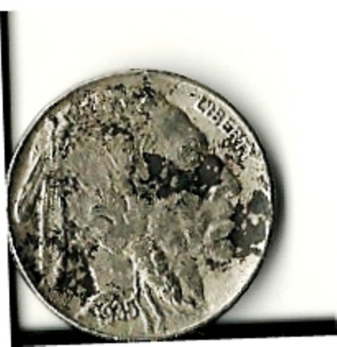 Buffalo-Nickel-Urgent-Question!