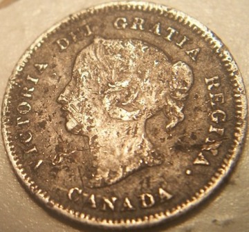 Look-What-I-Got-At-My-First-Coin-Show!