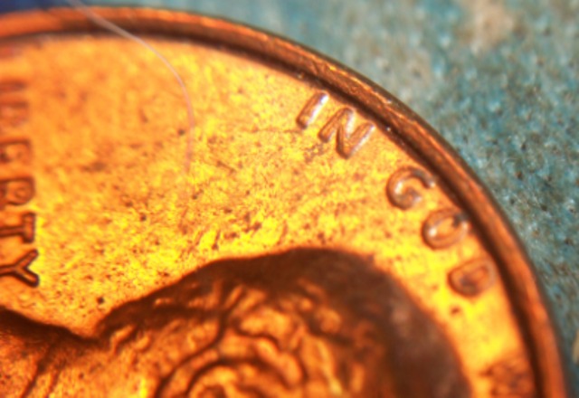 Roll-Searching-2011-Finds-Total-Finds,-Not-Best-Finds