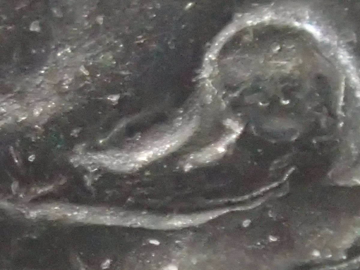 1935-S-Peace-Dollar-With-Doubling?