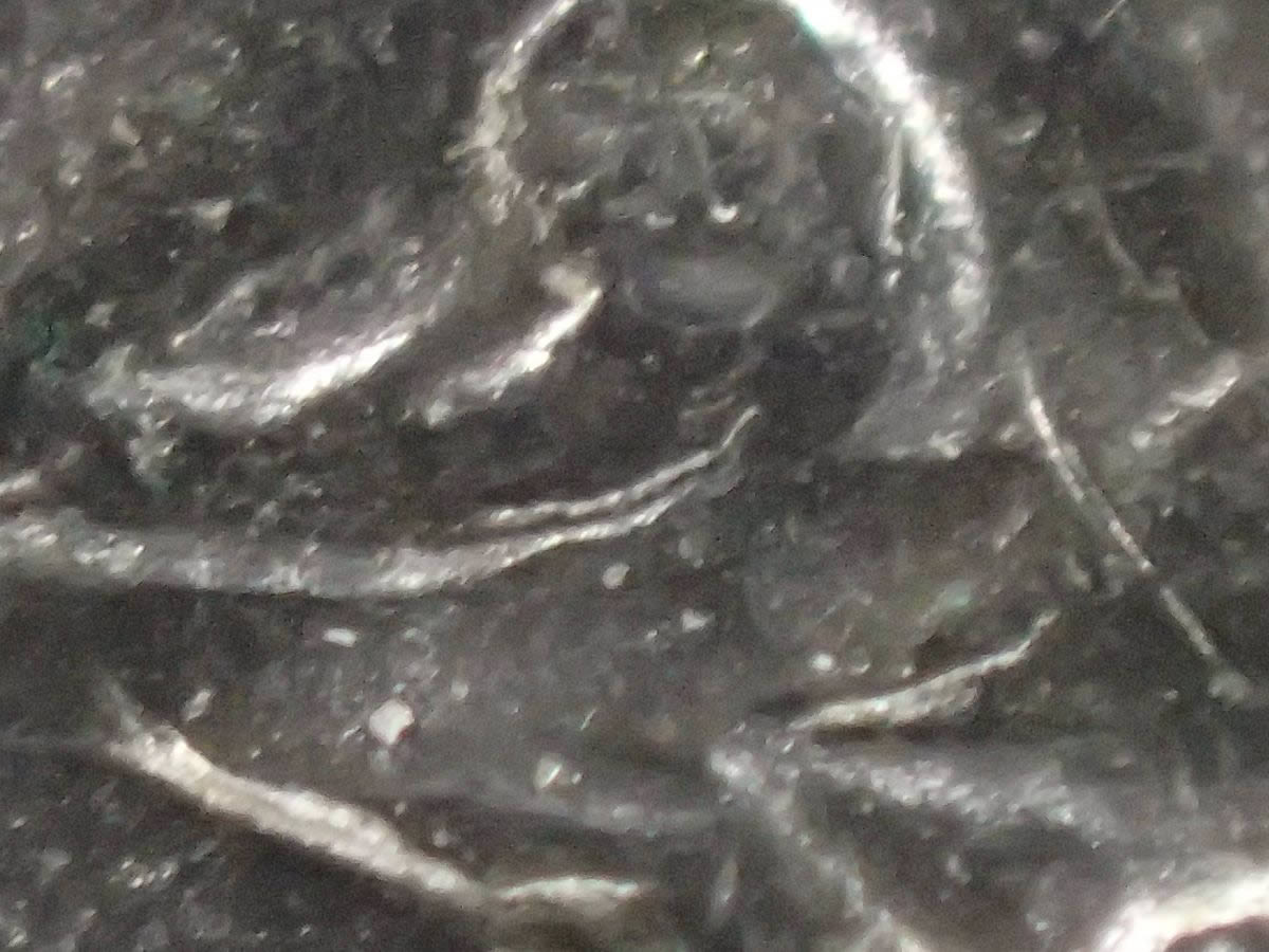 1935-S-Peace-Dollar-With-Doubling?