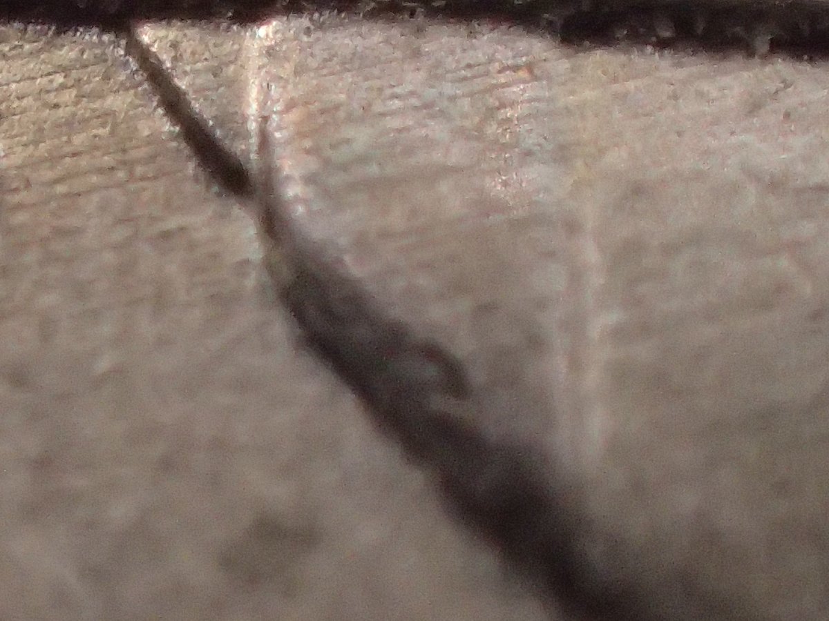 2019-D-Cent-Reverse-Item