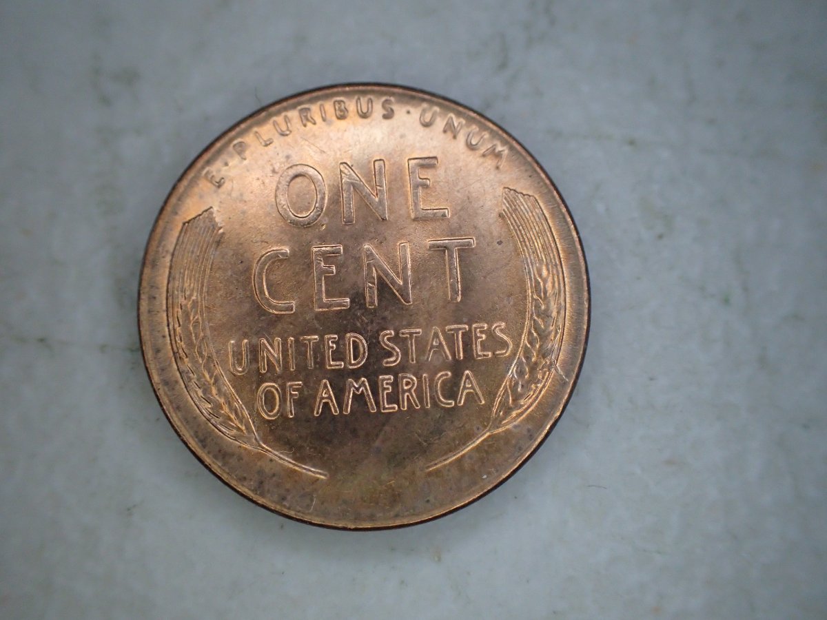 More-55-S-Wheatie-Action