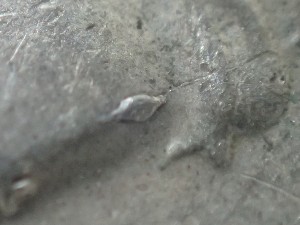 1964-D-Washington-Quarter-Die-Crack-And/Or-Delam