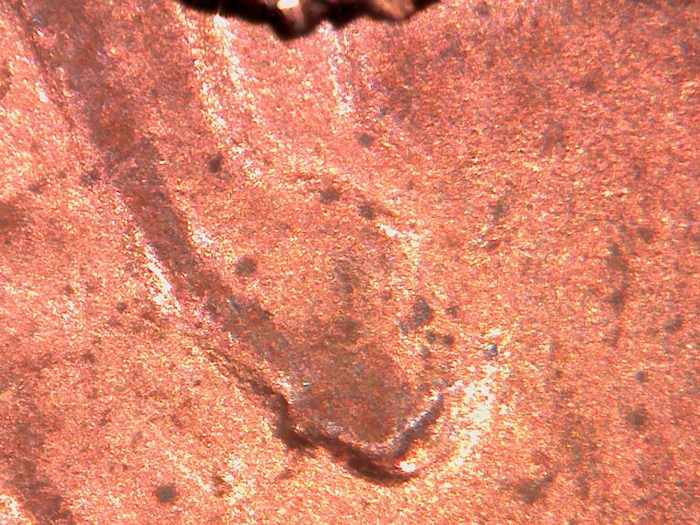 1984-LMC-Doubled-Ear