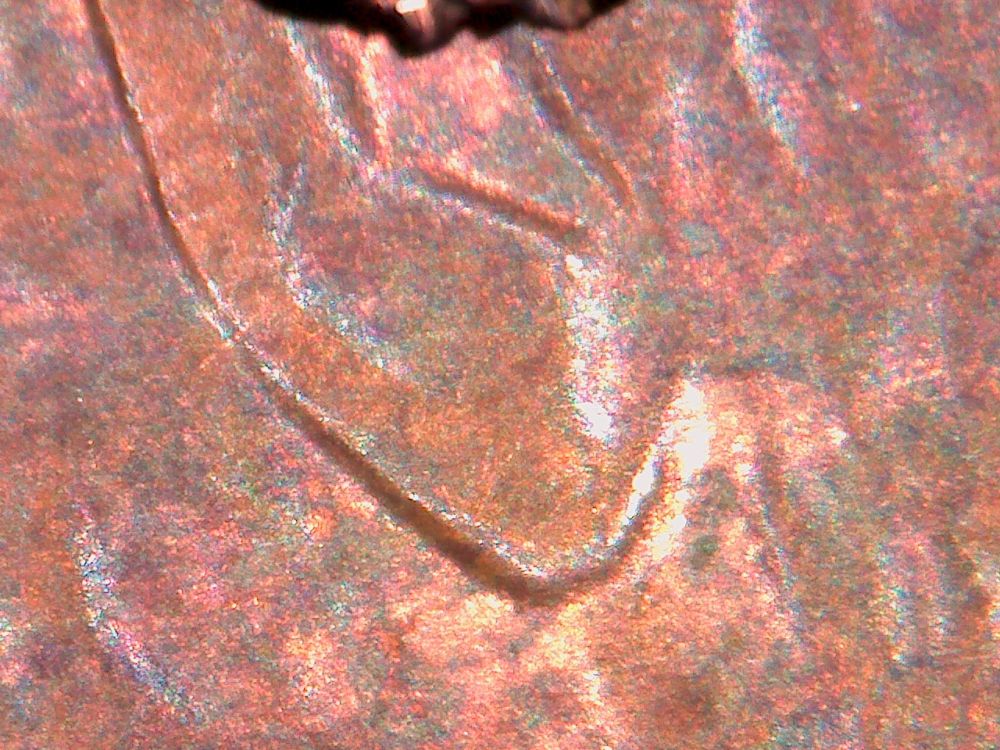 1984-LMC-Doubled-Ear