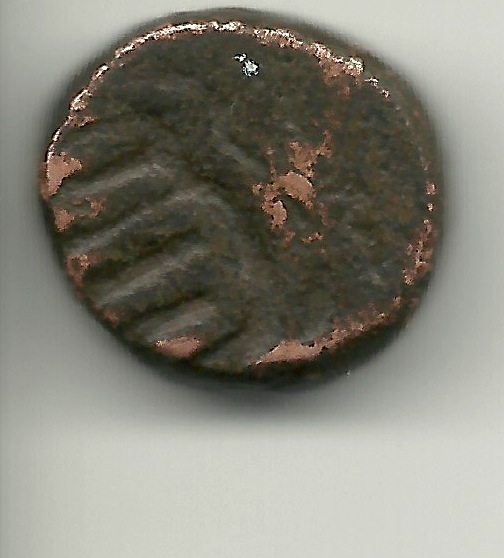India-Dump-Coin