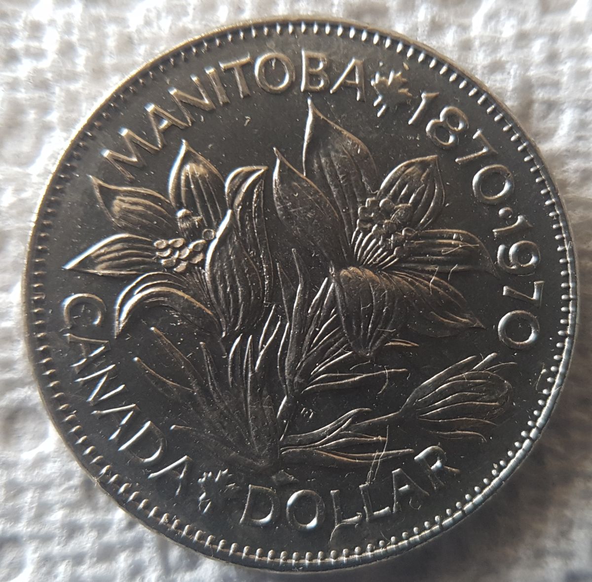 Hello-From-Alberta-: