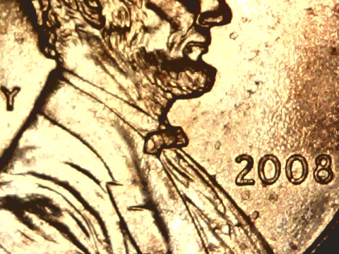 2008-Lincoln-Memorial-Cent-Hornets-Nest