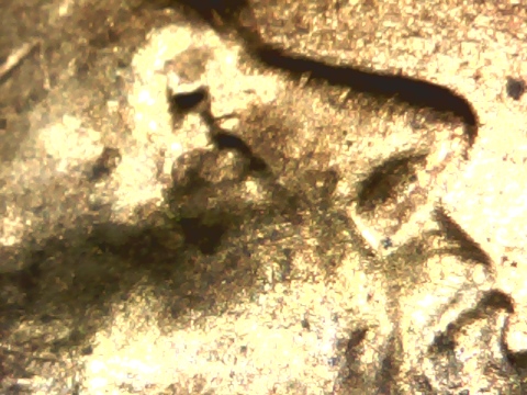2016-Lincoln-Shield-Cent-Double-Eye