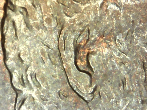 1997-Lincoln-Mc-Doubled-Die-Obverse