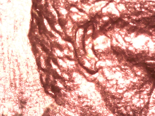 1988-LMC-DDO-Found-CRH