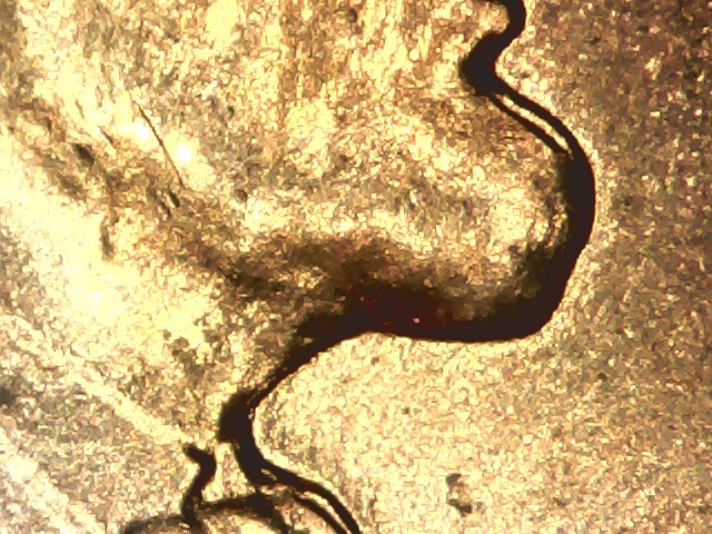 1959-D-Lincoln-Mc-MD