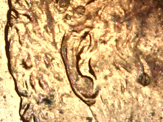 1997-Lincoln-Mc-DDO-Stg-B