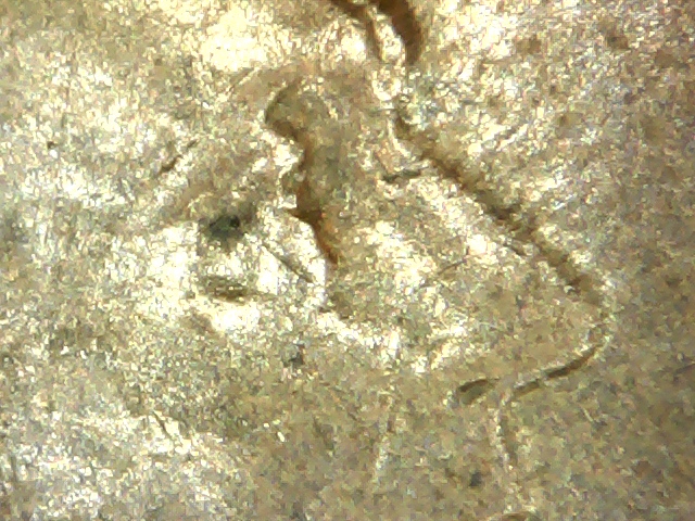 1916-D-LWC-DDR-Or-Double-Eye?