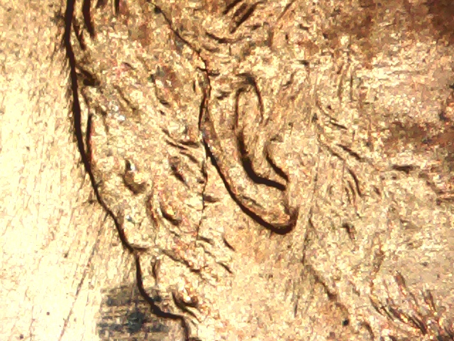 1994-LMC-Progressing-Of-A-Die-Crack
