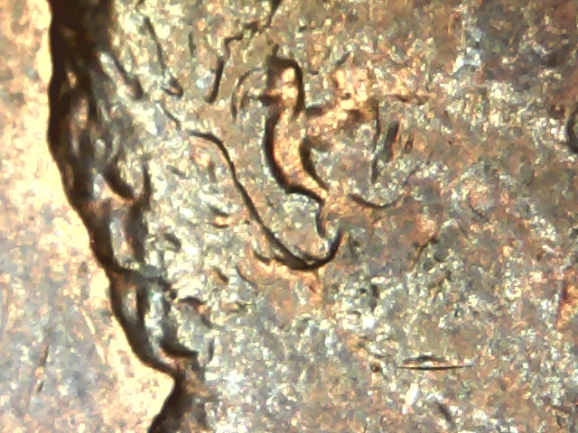 1984-Lincoln-Mc-Double-Ear-Or-Not