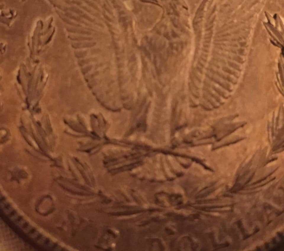 1882-S-Morgan-Dollar-Advice/Input