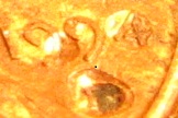 1994-LMC---Error-?--Any-Thoughts-?--The-Circle-Around-The-4