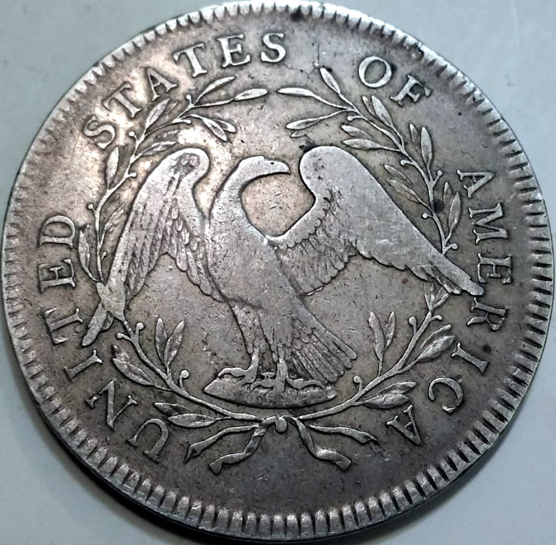 1795-Flowing-Hair-Dollar,-Two-Leaves-'Hidden-Star',-B-4,-BB-14