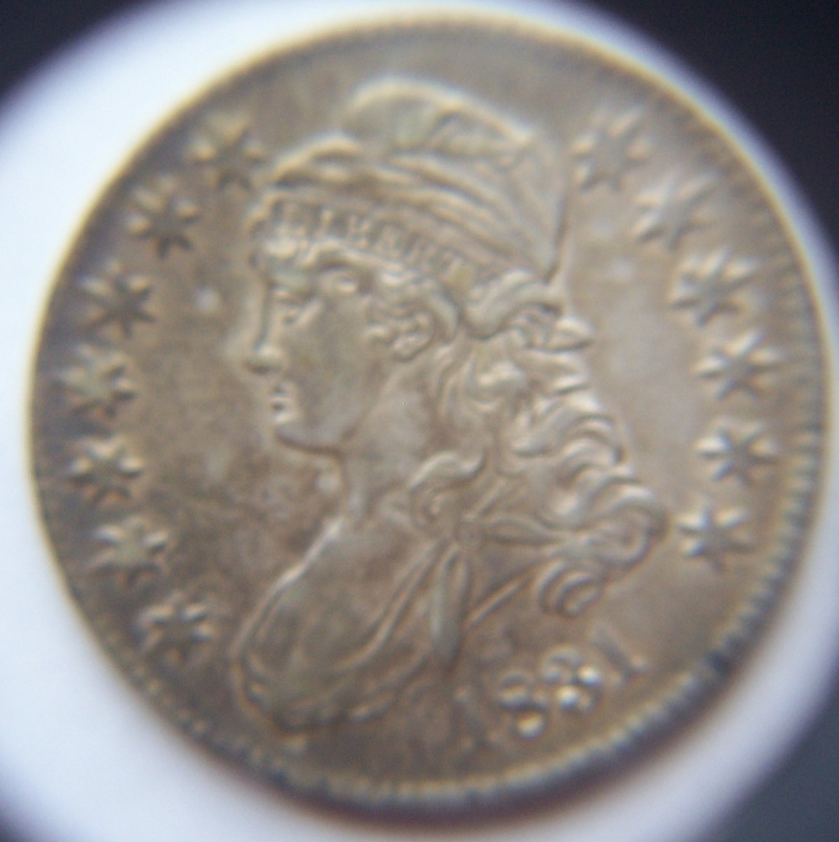 Continuing-List-To-Show-Everyones-Latest-Acquisitions