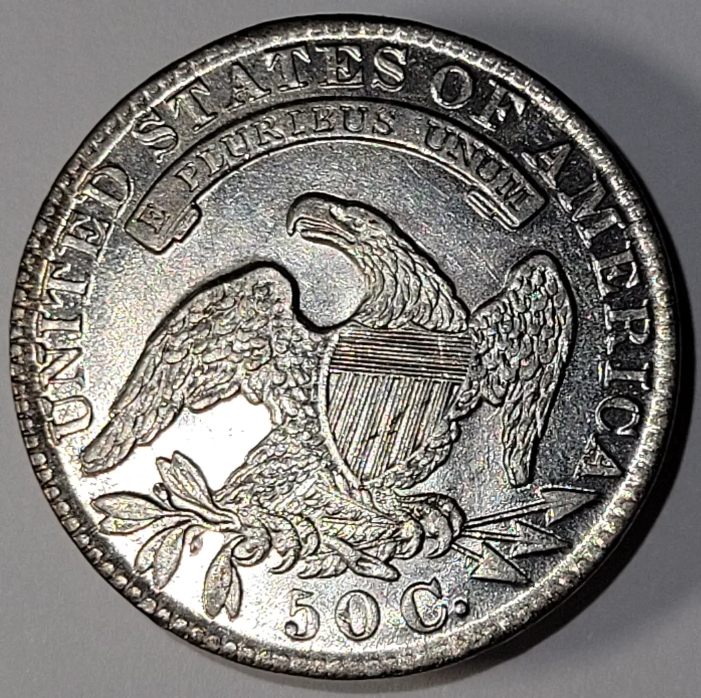 Possible-1831-Counterfeit-Bust-Half