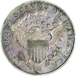 Your-Dream-Type-Coin.