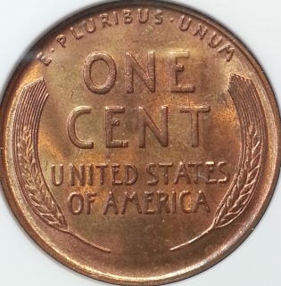 Looking-For-Help-With-ANACS-Certified-1931-S-LWC