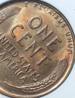 Looking-For-Help-With-ANACS-Certified-1931-S-LWC