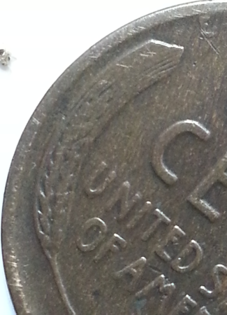 1924-D-Lincoln-Wheat-Cent.-Grade?
