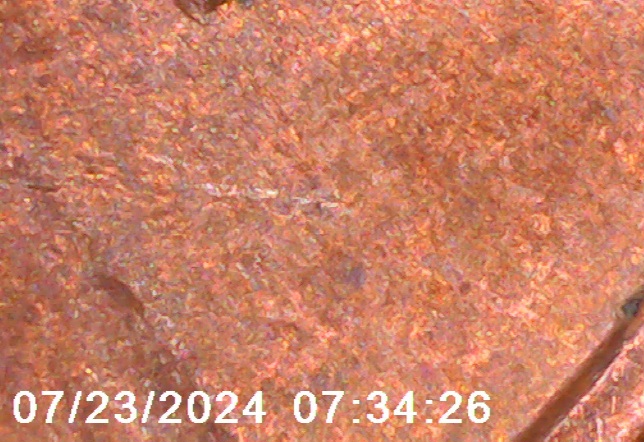 1982-Lincoln-Cent.-DDO-001-Stage-C