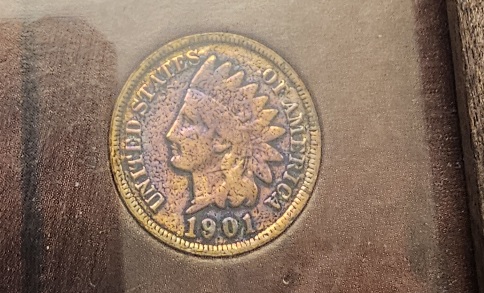 Multiple-Indian-Head-Pennies-In-A-Frame-Found.-Great-Quality.