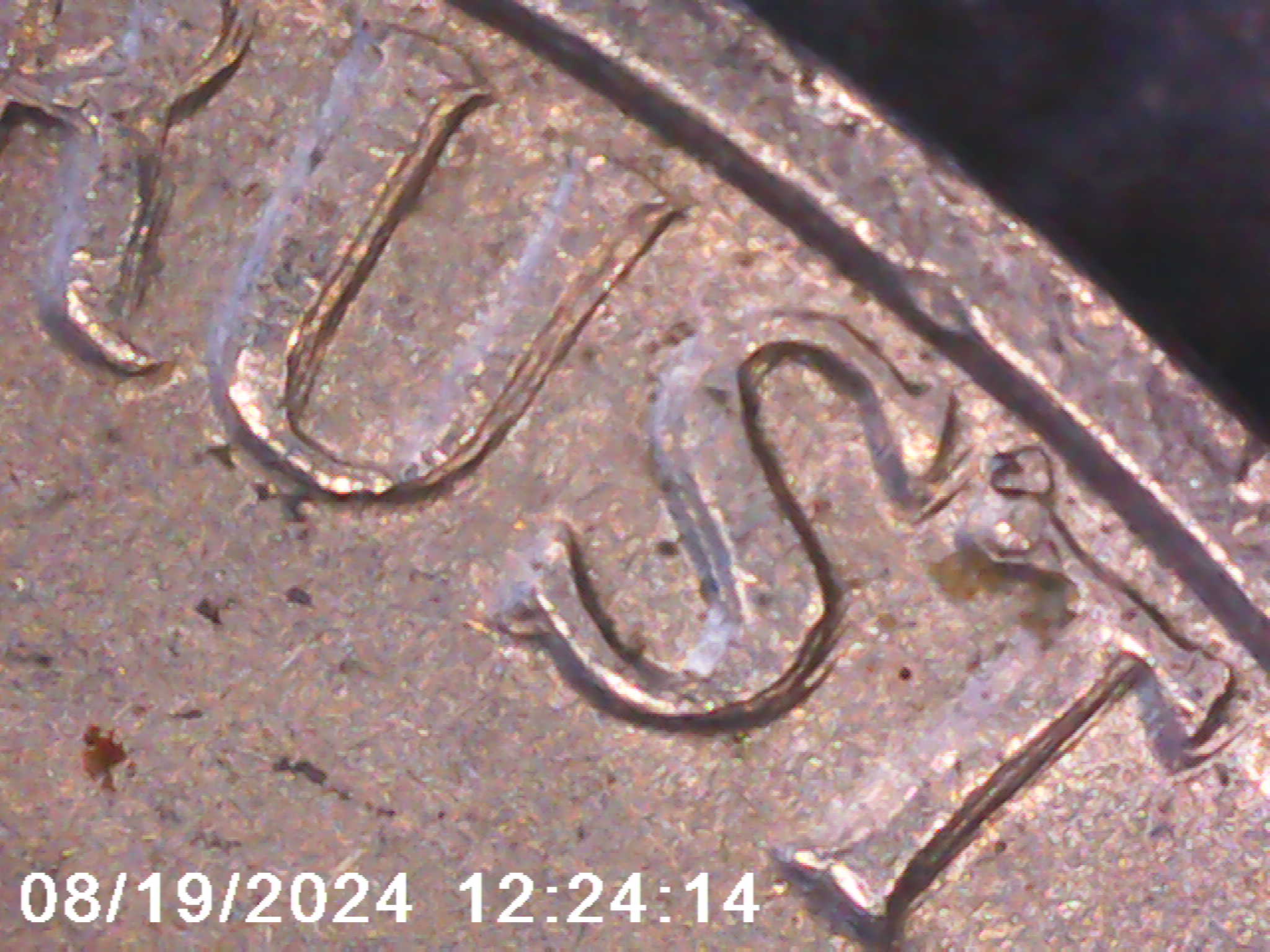 1960-Nickel-DDR/Ddo.-Opinion-Please