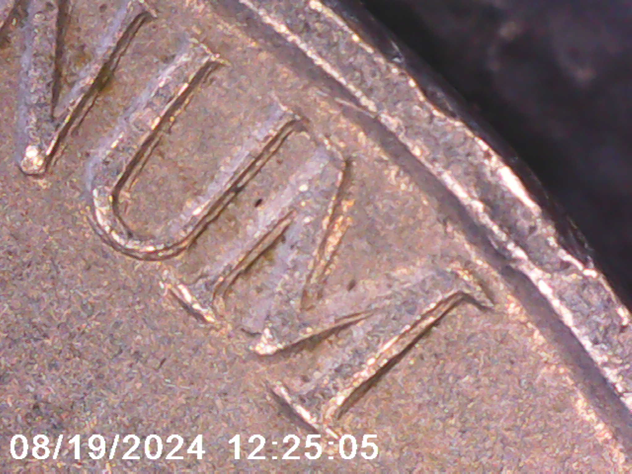 1960-Nickel-DDR/Ddo.-Opinion-Please