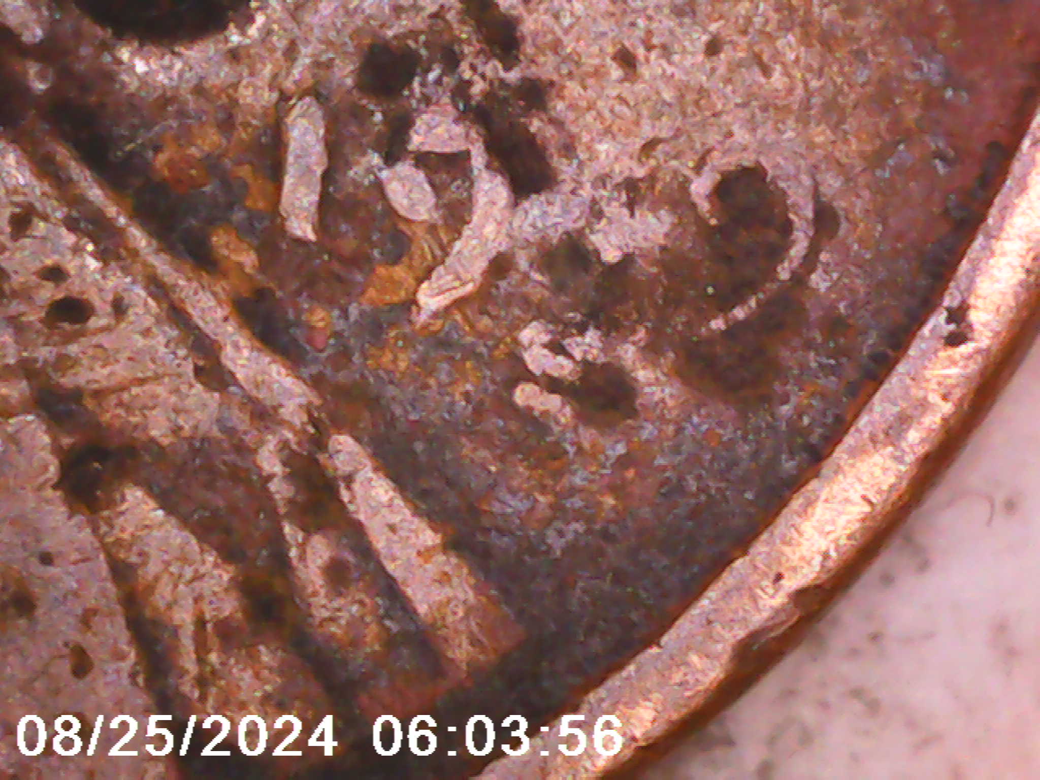 Looks-Like-A-1909-S-VDB-To-Me