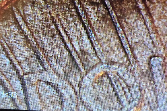 1925-Peace-Dollar-VAM-3-And-Or-VAM-1R?