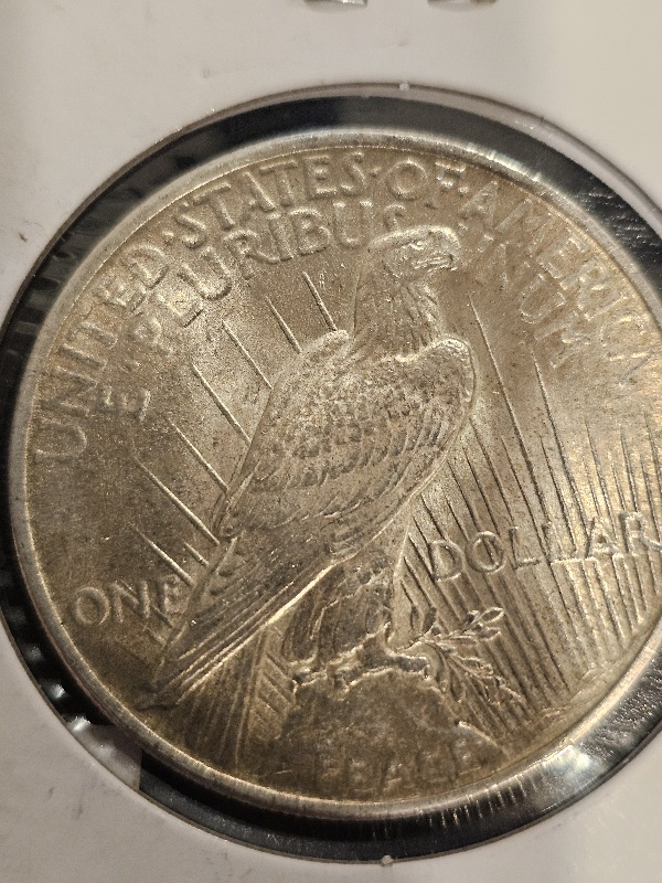 1925-Peace-Dollar-VAM-3-And-Or-VAM-1R?