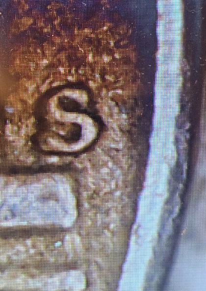 1954-S/D-Nickel?-Thoughts?