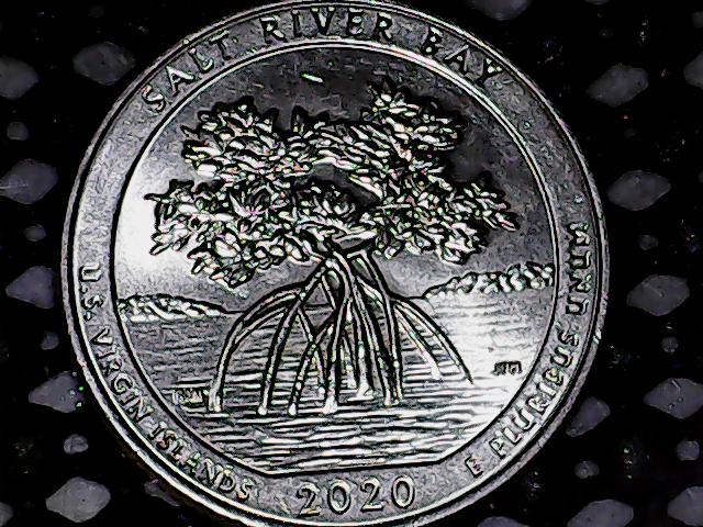 2020-Salt-River-Bay-Quarter-DDR-?