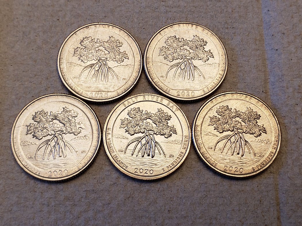 2020-D-Salt-River-Bay---Struck-Through--Quarters