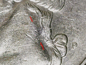 1995-P-Quarter-Missing-Details