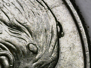 2005-P-Dime--Cuds-And-Die-Chips