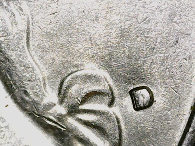 1776-1976-D-Quarter-Is-This-RPM