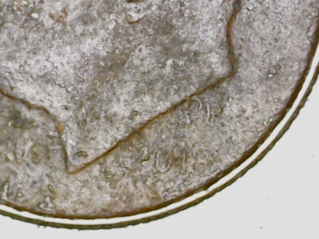 2018-P-Dime-Dark-Brown-Color