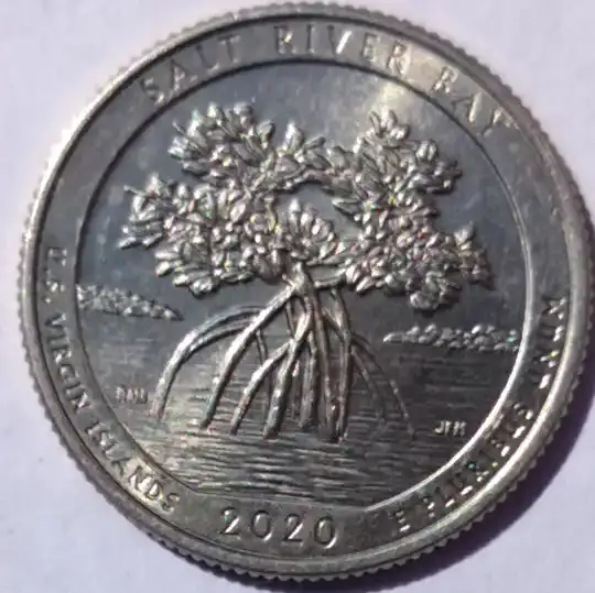 2020-W-Salt-River-Bay-Quarter-With-Privy-V75-Is-It-Worth-Getting-Graded
